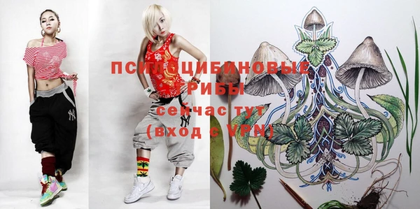 кокаин перу Кулебаки