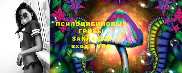 первитин Бердск