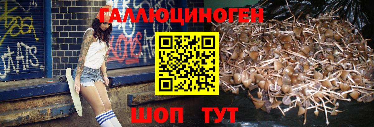 Псилоцибиновые грибы Psilocybe  Вход с VPN  Североуральск  Псилоцибиновые грибы Magic Shrooms 